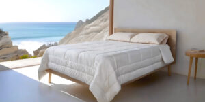 Organic-mattresses-in-Springdale-AR