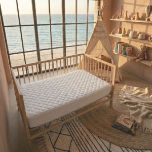 Organic Crib Mattress